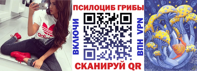 Псилоцибиновые грибы мухоморы кракен Владивосток